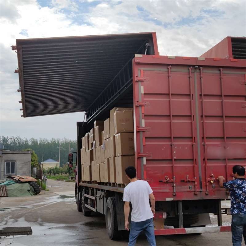 通化市扎囊县：物流专线的高效货运之旅