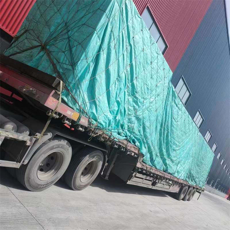 通化市台江县进仓物流：专线直达的多元货运探索